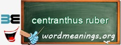 WordMeaning blackboard for centranthus ruber